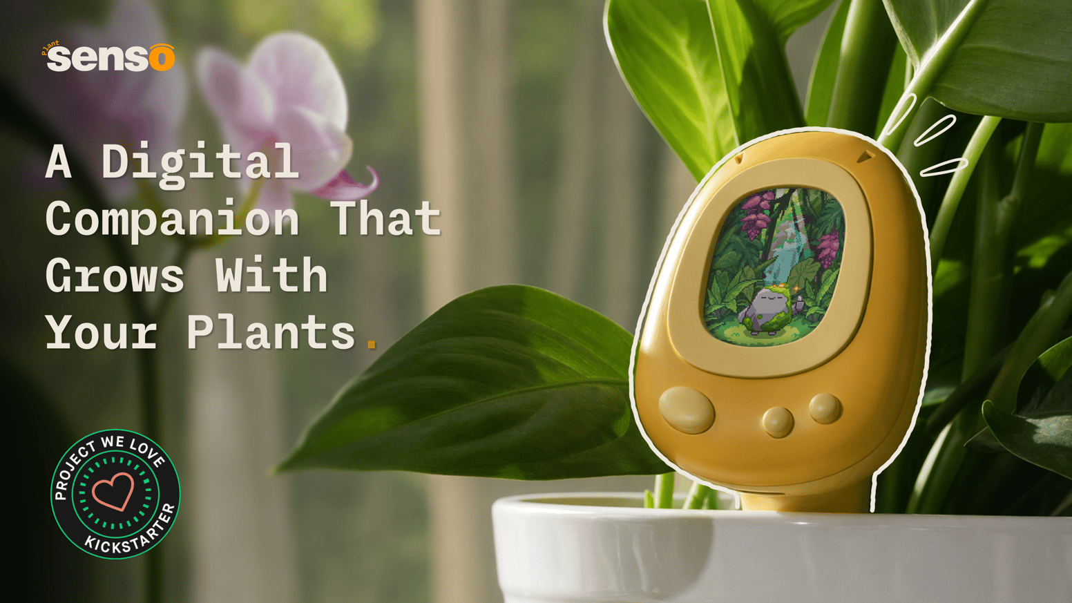 PlantSenso — Turns plant care into play